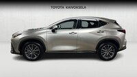 Lexus NX vaihtoauto
