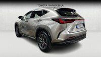 Lexus NX vaihtoauto