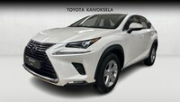 Lexus NX vaihtoauto