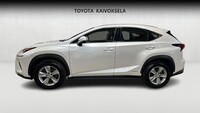 Lexus NX vaihtoauto