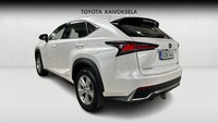 Lexus NX vaihtoauto