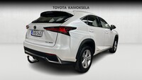 Lexus NX vaihtoauto