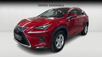 Lexus NX vaihtoauto