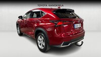 Lexus NX vaihtoauto