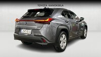 Lexus UX vaihtoauto