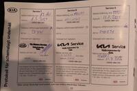 Kia Niro plug-in vaihtoauto