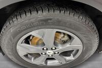 Ford USA Mustang vaihtoauto