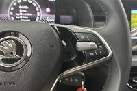 Skoda Scala vaihtoauto