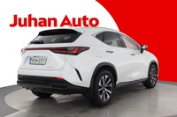 Lexus NX vaihtoauto