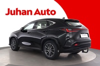 Lexus NX vaihtoauto