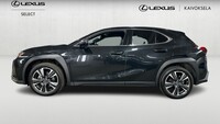 Lexus UX vaihtoauto