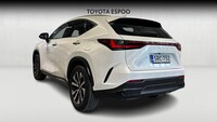 Lexus NX vaihtoauto