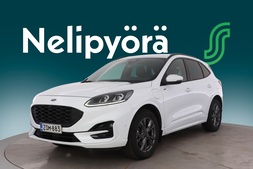 Ford Kuga vaihtoauto