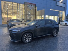 Lexus NX vaihtoauto