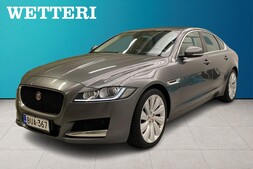Jaguar XF vaihtoauto