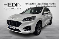 Ford Kuga vaihtoauto