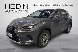 Lexus NX vaihtoauto