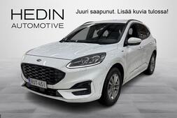 Ford Kuga vaihtoauto