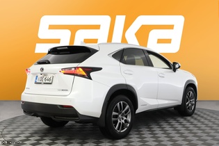 Lexus NX vaihtoauto
