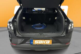 Ford USA Mustang vaihtoauto