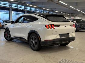 Ford USA Mustang vaihtoauto