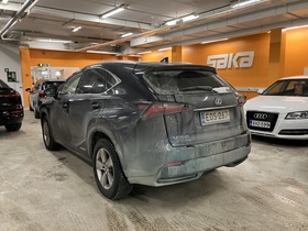 Lexus NX vaihtoauto