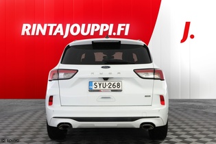 Ford Kuga vaihtoauto