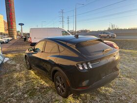Ford USA Mustang vaihtoauto