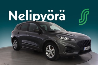 Ford Kuga vaihtoauto