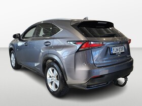 Lexus NX vaihtoauto