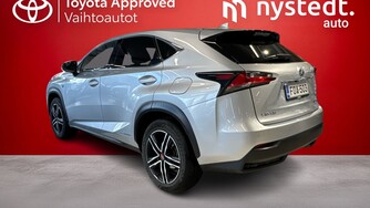 Lexus NX vaihtoauto