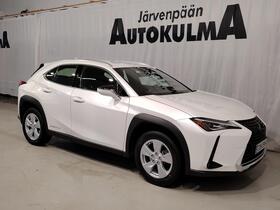 Lexus UX vaihtoauto