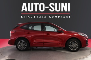 Ford Kuga vaihtoauto