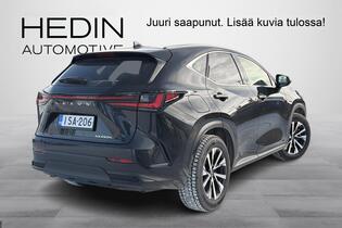 Lexus NX vaihtoauto