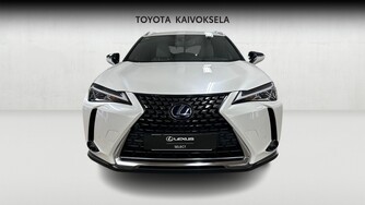 Lexus UX vaihtoauto
