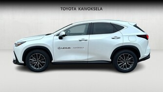Lexus NX vaihtoauto