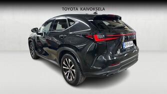 Lexus NX vaihtoauto