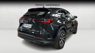 Lexus NX vaihtoauto