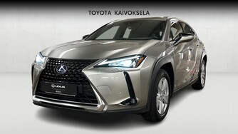 Lexus UX vaihtoauto