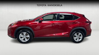 Lexus NX vaihtoauto