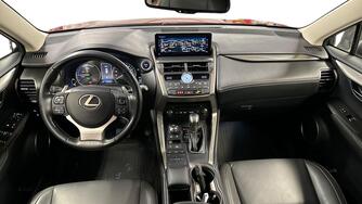 Lexus NX vaihtoauto