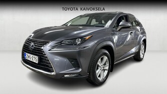 Lexus NX vaihtoauto