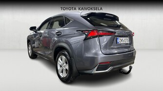 Lexus NX vaihtoauto