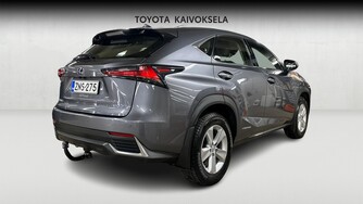 Lexus NX vaihtoauto