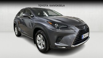 Lexus NX vaihtoauto