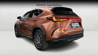 Lexus NX vaihtoauto