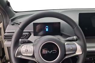 BYD Dolphin Surf vaihtoauto