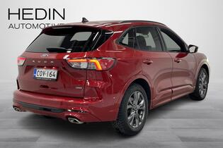 Ford Kuga vaihtoauto