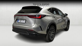 Lexus NX vaihtoauto