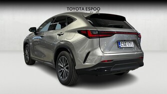 Lexus NX vaihtoauto